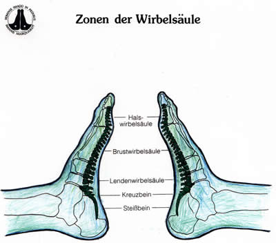 Reflexzonentherapie am Fuß