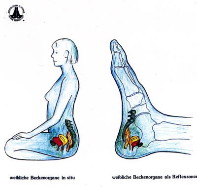 Reflexzonentherapie am Fuß